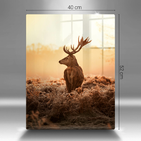 De vidrio templado Ciervo en el campo