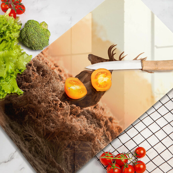 De vidrio templado Ciervo en el campo