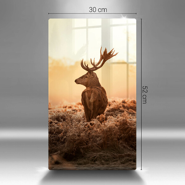 De vidrio templado Ciervo en el campo