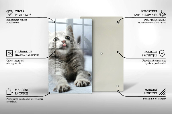 De vidrio templado Pequeño gatito lindo