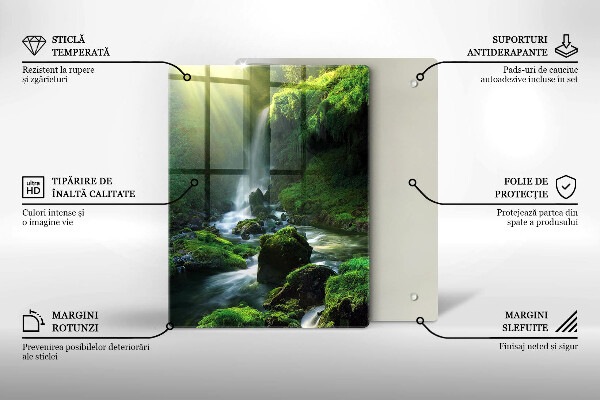 De vidrio templado Cascada en la selva