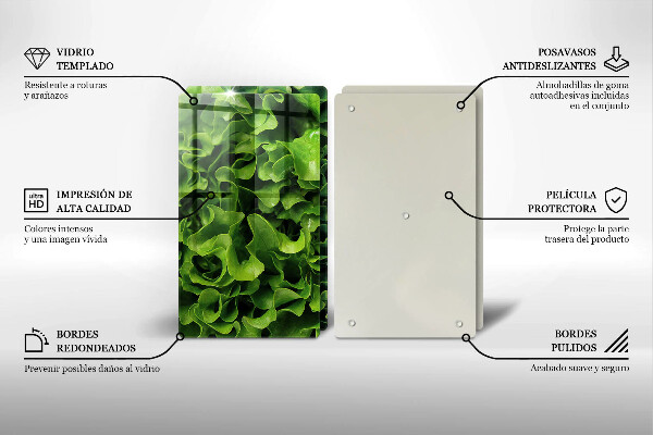De vidrio templado Hojas de lechuga verde