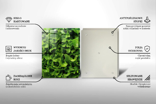 De vidrio templado Hojas de lechuga verde