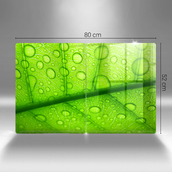 De vidrio templado Primer plano de una hoja