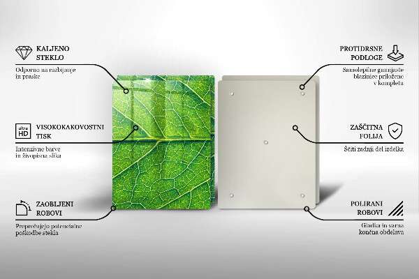 De vidrio templado Venas de las hojas naturales