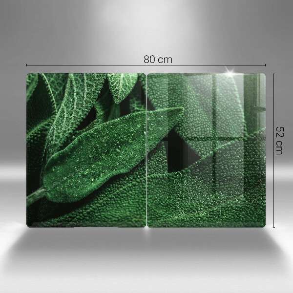 De vidrio templado Las hojas de la planta