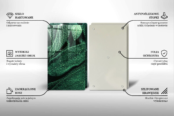 De vidrio templado Las hojas de la planta