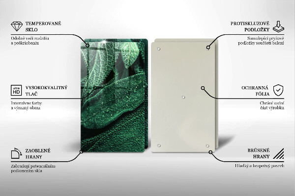 De vidrio templado Las hojas de la planta