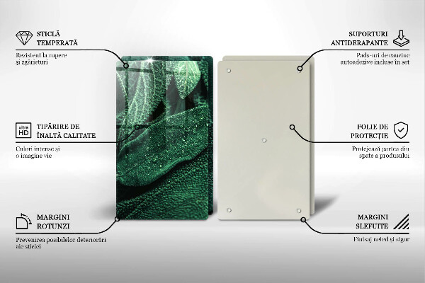 De vidrio templado Las hojas de la planta