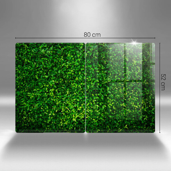 De vidrio templado Planta con hojas pequeñas