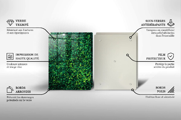 De vidrio templado Planta con hojas pequeñas