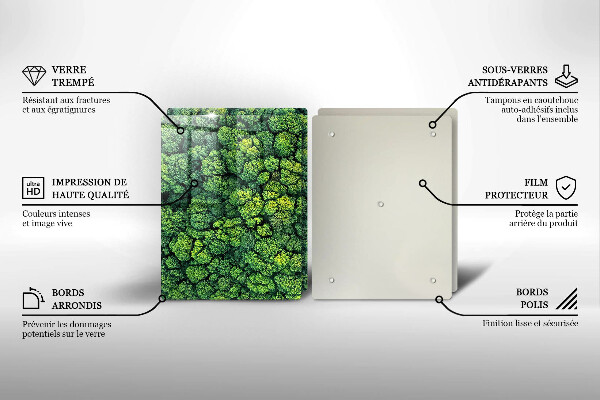 De vidrio templado Planta de musgo natural