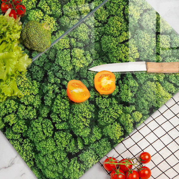 De vidrio templado Planta de musgo natural