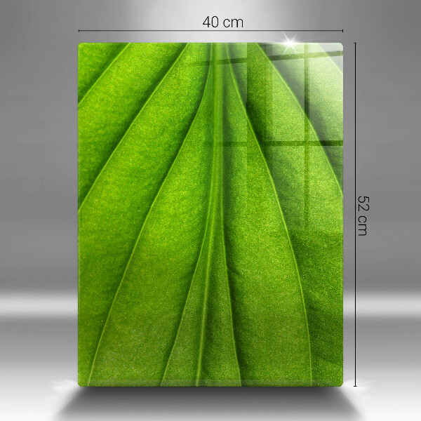 Tabla de cortar de vidrio Hoja de vena natural