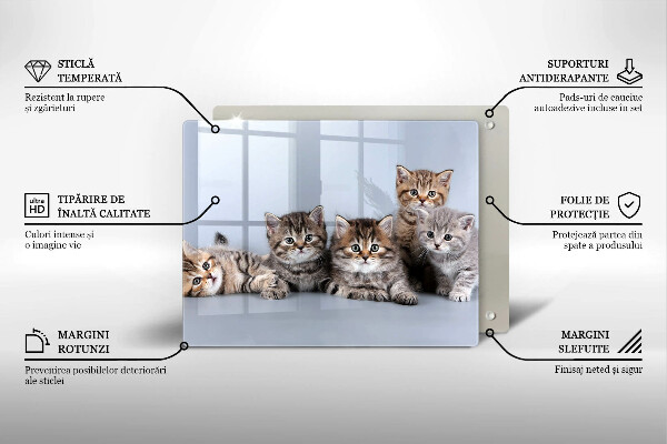 Tabla de cortar de vidrio Dulces gatitos