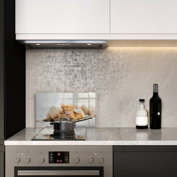 Tabla de cortar de vidrio Animales perro y gato