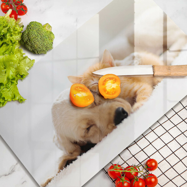 Tabla de cortar de vidrio Animales perro y gato