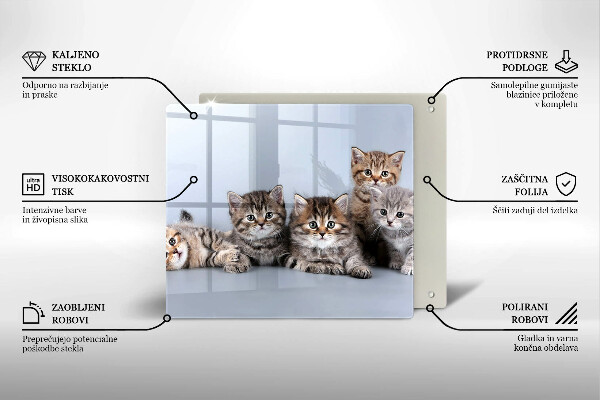 De vidrio templado Dulces gatitos