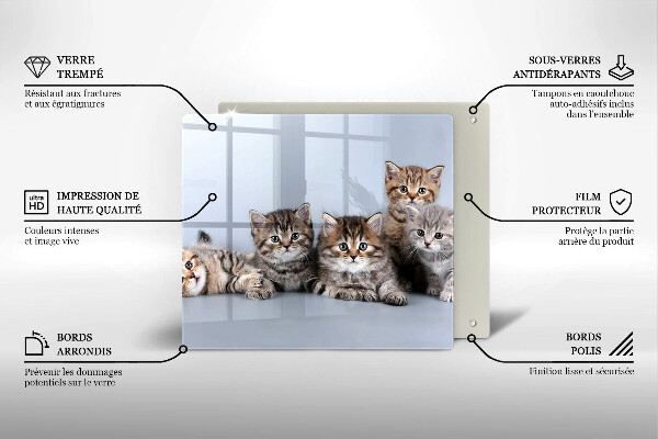 De vidrio templado Dulces gatitos