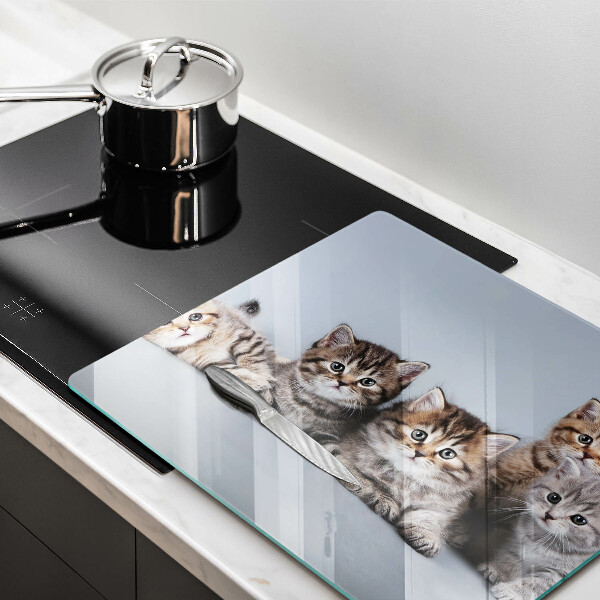 De vidrio templado Dulces gatitos