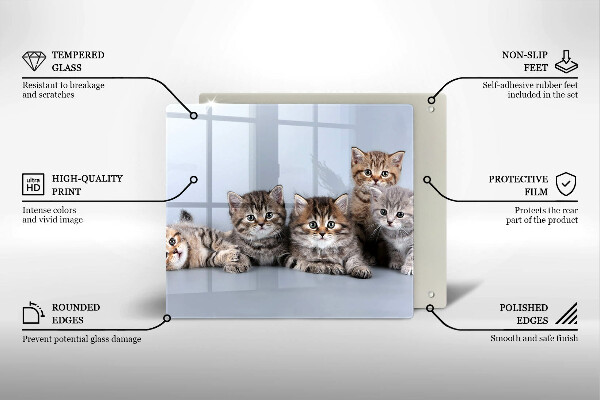 De vidrio templado Dulces gatitos