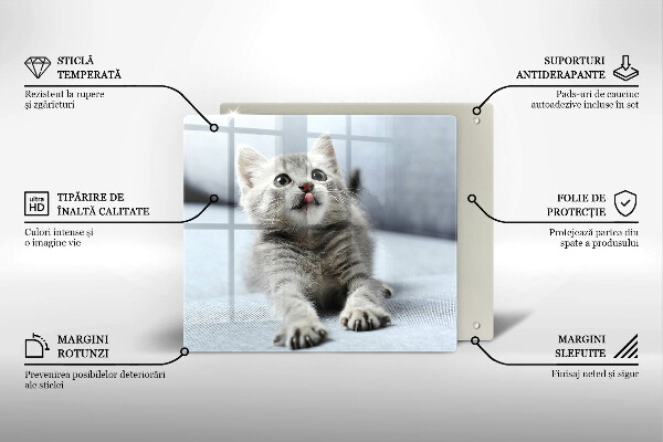 De vidrio templado Pequeño gatito lindo