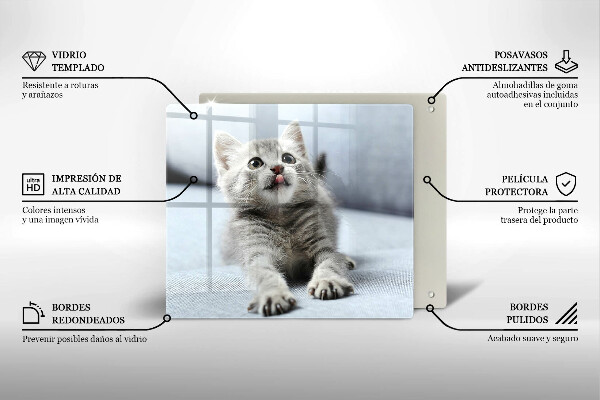 De vidrio templado Pequeño gatito lindo