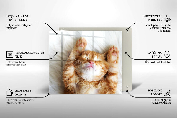 De vidrio templado Pequeño gatito lindo