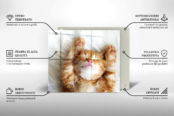 De vidrio templado Pequeño gatito lindo