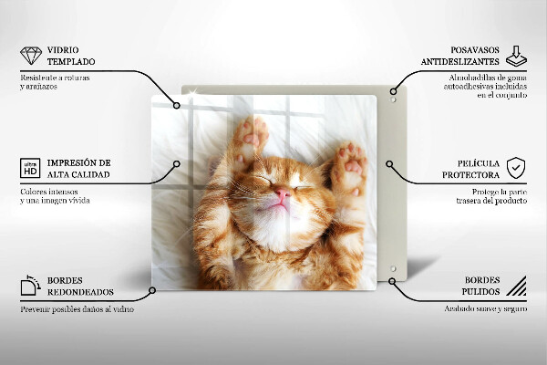 De vidrio templado Pequeño gatito lindo