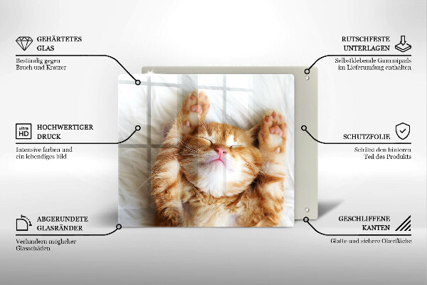 De vidrio templado Pequeño gatito lindo