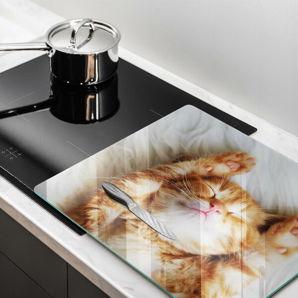 De vidrio templado Pequeño gatito lindo