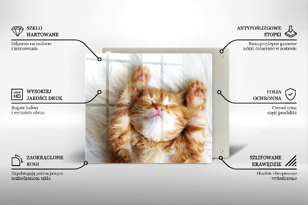 De vidrio templado Pequeño gatito lindo