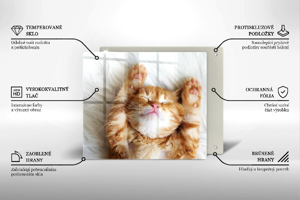 De vidrio templado Pequeño gatito lindo