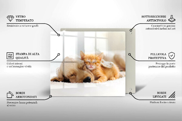 De vidrio templado Animales perro y gato