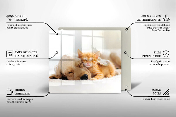 De vidrio templado Animales perro y gato