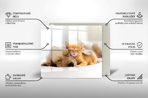 De vidrio templado Animales perro y gato