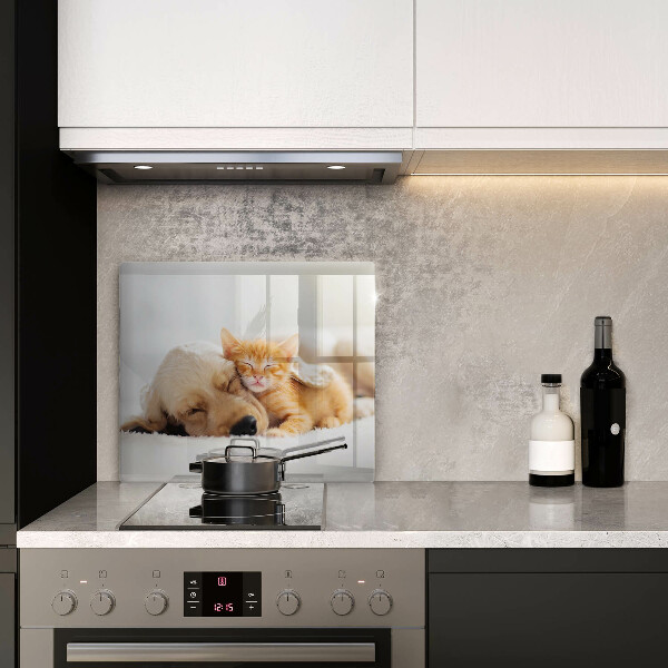 De vidrio templado Animales perro y gato