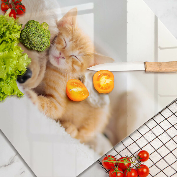 De vidrio templado Animales perro y gato