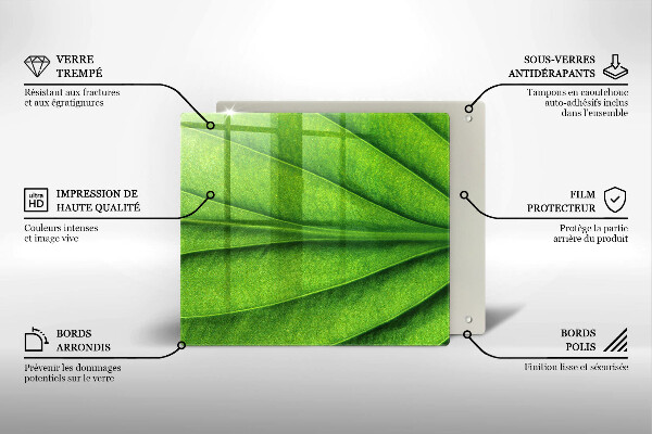 De vidrio templado Hoja de vena natural