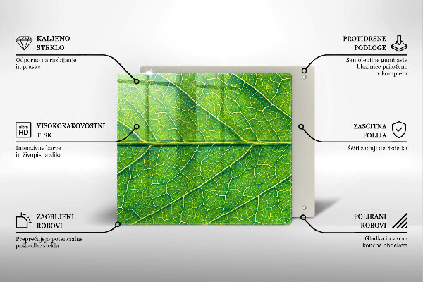 De vidrio templado Venas de las hojas naturales