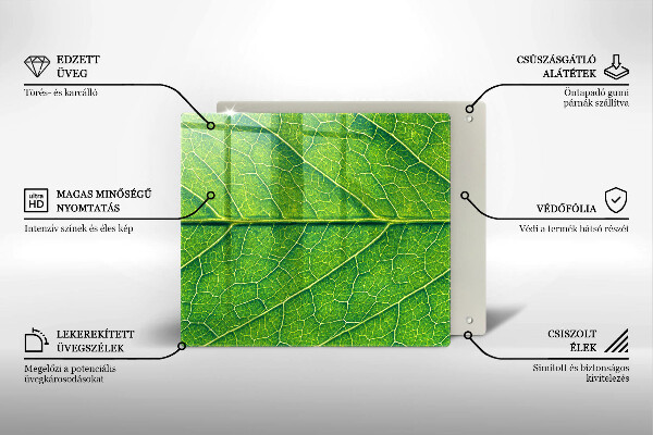 De vidrio templado Venas de las hojas naturales