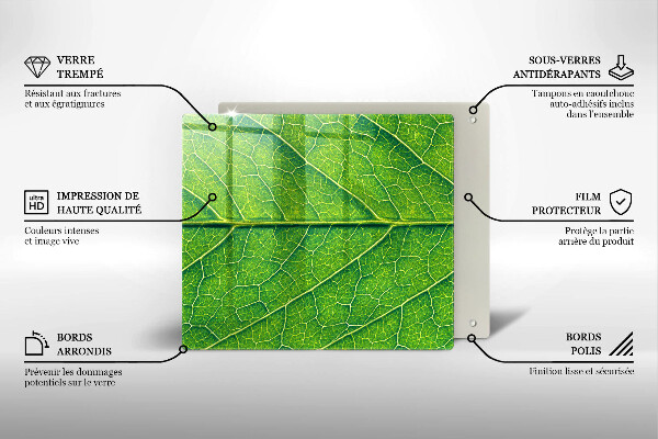 De vidrio templado Venas de las hojas naturales
