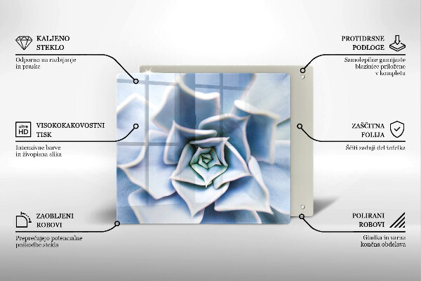 De vidrio templado Planta de flores