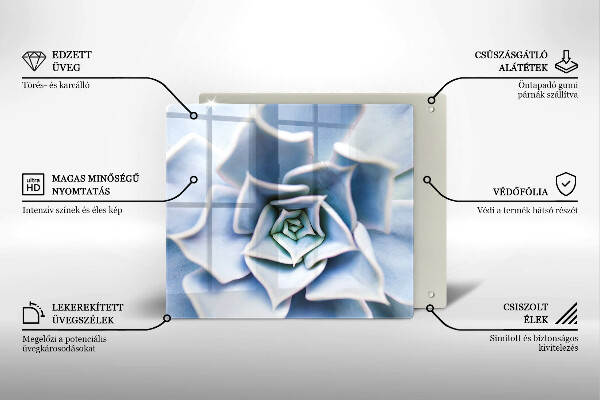 De vidrio templado Planta de flores