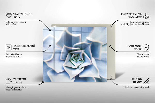 De vidrio templado Planta de flores