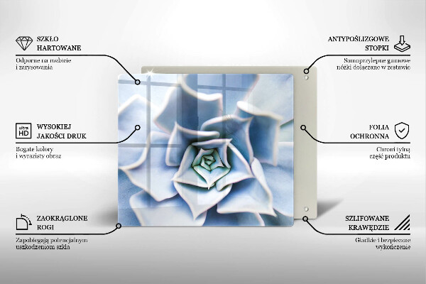 De vidrio templado Planta de flores