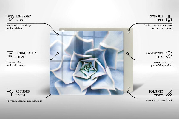 De vidrio templado Planta de flores