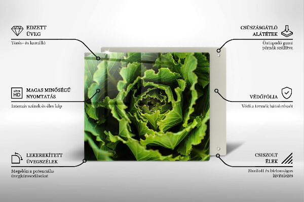 De vidrio templado Comer hojas de lechuga