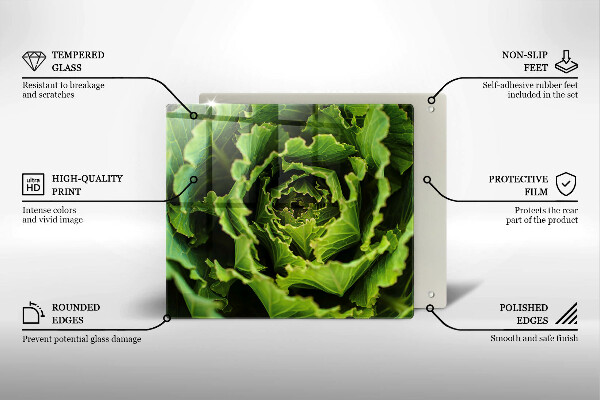 De vidrio templado Comer hojas de lechuga